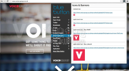 谷歌浏览器插件Blue Button | the webpage Xray一键查看网页图标、样式表、框架
