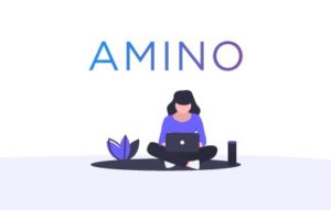 Amino CSS Editor 3.1.5.0 crx（创建用户样式表 网站CSS自定义）