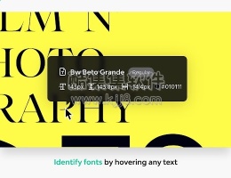 谷歌浏览器插件Fonts Ninja 字体忍者 识别任何网站的字体，添加书签
