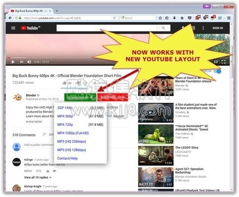 Easy Youtube Video Downloader 轻松下载油管视频