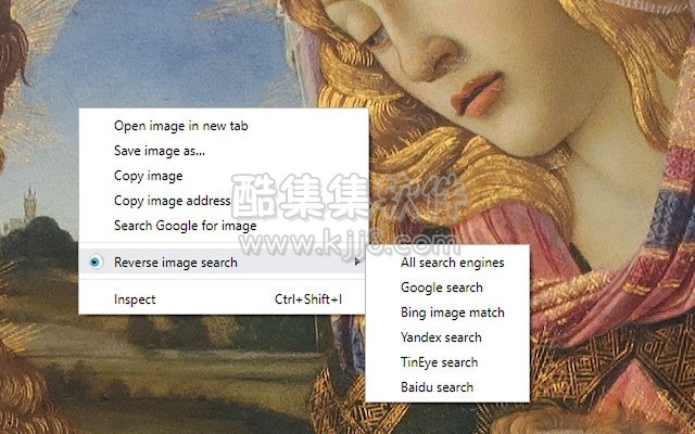 Reveye Reverse Image Search 以图搜图
