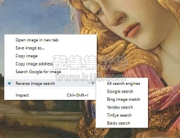 谷歌浏览器插件RevEye Reverse Image Search 以图搜图