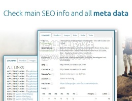 谷歌浏览器插件SEO META in 1 CLICK 显示SEO 元数据的插件