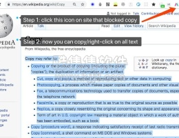谷歌浏览器插件Simple Allow Copy 解除网页不允许复制