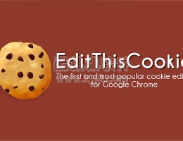 谷歌浏览器插件EditThisCookie 浏览器cookie管理器