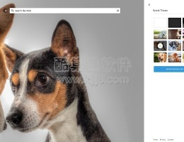 谷歌浏览器插件 Speed Dial Dogs 一款爱狗人士可能喜欢的浏览器新标签页插件